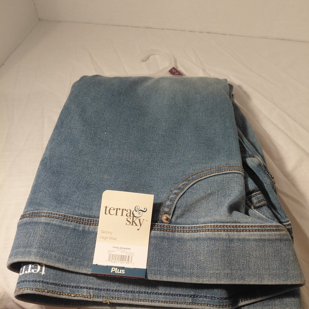 Terra & Sky Classic Denim Skinny Jeans